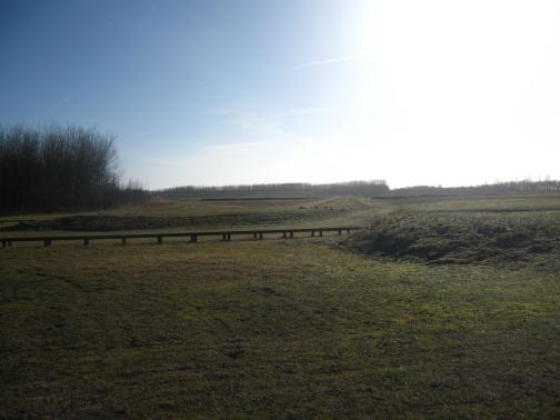 Uitzicht op de grasvlakte van de schietbaan